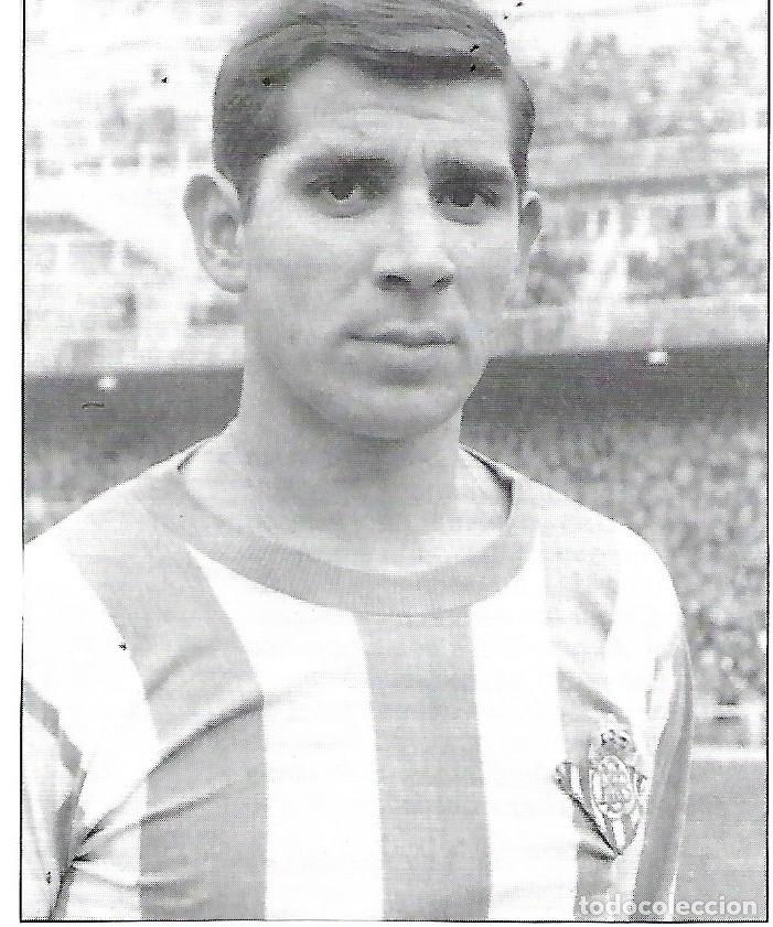 Collectionnisme sportif: REAL BETIS BALOMPI&Eacute;: Recorte de Fernando ANSOLA