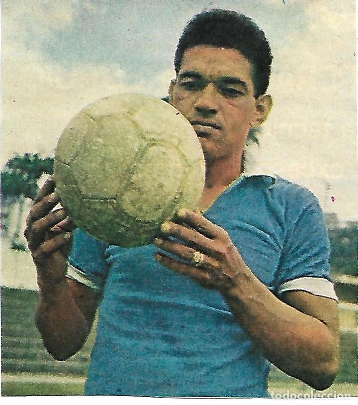 Collectionnisme sportif: SELECCI&Oacute;N DE F&Uacute;TBOL DE BRASIL: Recorte de GARRINCHA