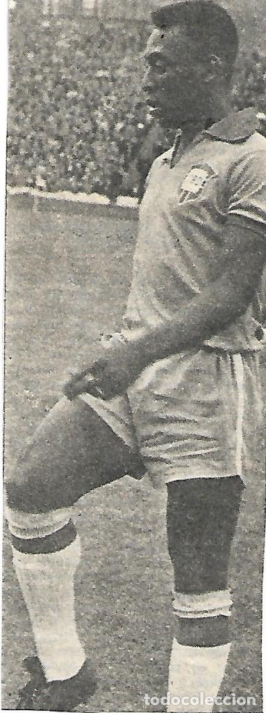 Collectionnisme sportif: SELECCI&Oacute;N DE F&Uacute;TBOL DE BRASIL. Recorte de PEL&Eacute;. 1970