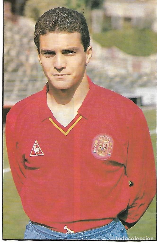 Sammelleidenschaft Sport: SELECCI&Oacute;N ESPA&Ntilde;OLA DE F&Uacute;TBOL: Gran recorte de Guillermo AMOR