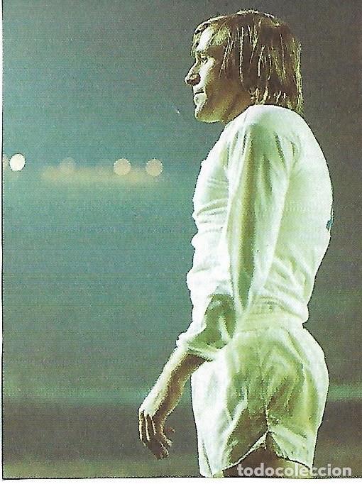 Coleccionismo deportivo: REAL MADRID: Recorte de Gunter NETZER - Foto 1