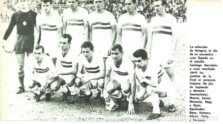 Sammelleidenschaft Sport: SELECCI&Oacute;N DE F&Uacute;TBOL DE HUNGR&Iacute;A: Recorte de un equipo de 1964