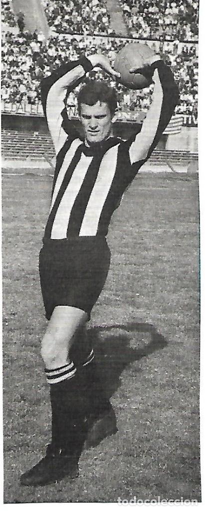 Sammelleidenschaft Sport: PE&Ntilde;AROL ( URUGUAY ): Recorte de Pablo FORL&Aacute;N