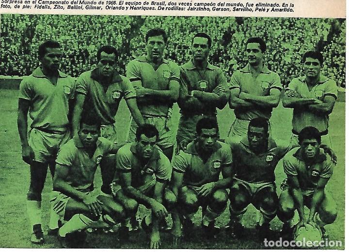 Collectionnisme sportif: SELECCI&Oacute;N DE F&Uacute;TBOL DE BRASIL: Recorte de un equipo que actu&oacute; en el Mundial de 1966