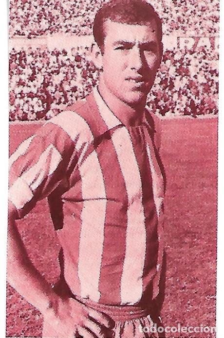 Coleccionismo deportivo: ATL&Eacute;TICO DE MADRID: Recorte de ADELARDO - Foto 1