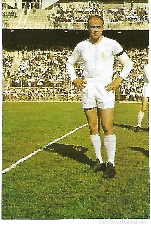 Collectionnisme sportif: REAL MADRID: Recorte de ALFREDO DI STEFANO