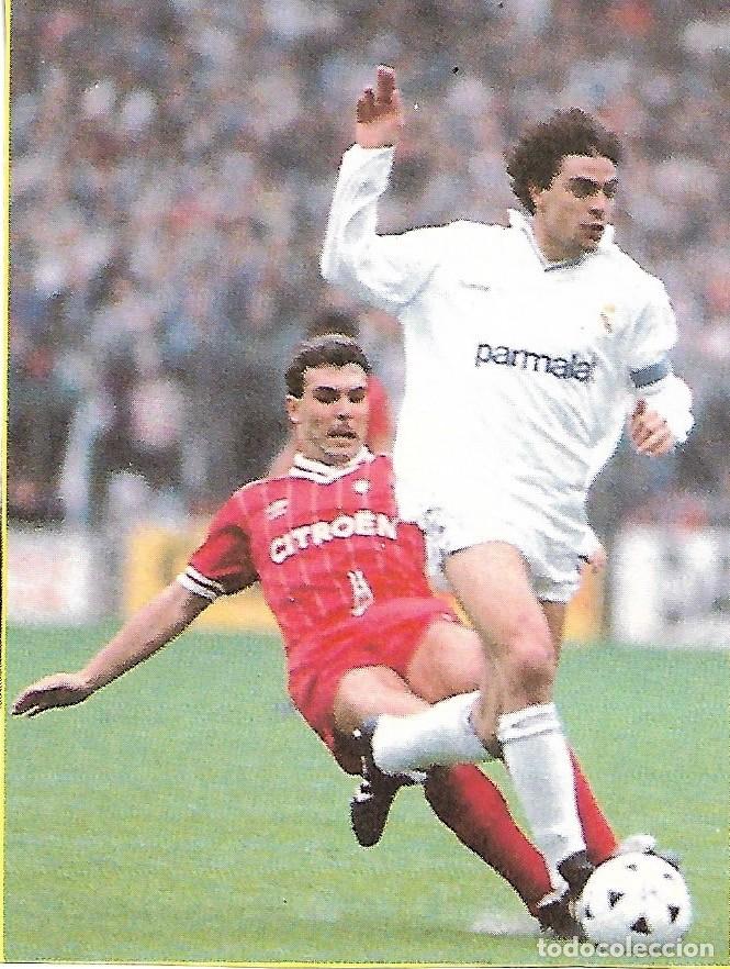 Collectionnisme sportif: REAL MADRID: Recorte de Manolo SANCH&Iacute;S