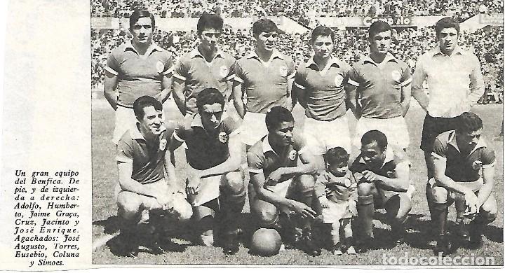 Collectionnisme sportif: BENFICA ( PORTUGAL ): Recorte de un equipo de 1968
