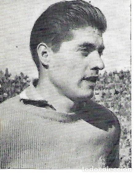 Coleccionismo deportivo: RCD. ESPA&Ntilde;OL: Recorte de VICENTE - Foto 1
