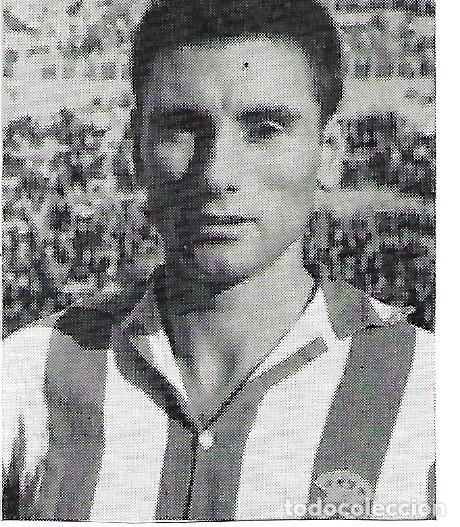 Coleccionismo deportivo: RCD. ESPA&Ntilde;OL: Recorte de BARTOL&Iacute; - Foto 1