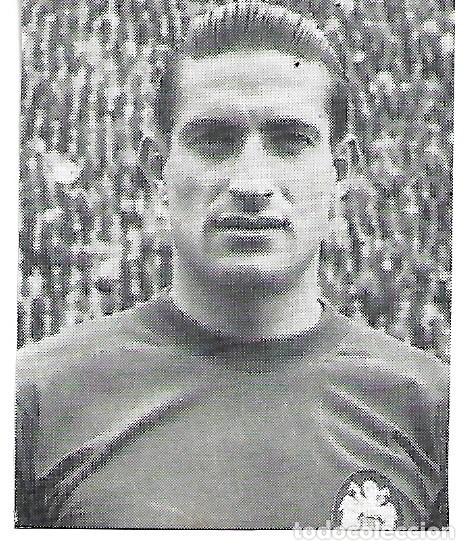 Sammelleidenschaft Sport: SELECCI&Oacute;N ESPA&Ntilde;OLA DE F&Uacute;TBOL: Recorte de Manolo MESTRE