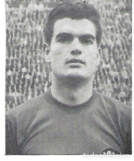 Sammelleidenschaft Sport: SELECCI&Oacute;N ESPA&Ntilde;OLA DE F&Uacute;TBOL: Recorte de Enric GENSANA