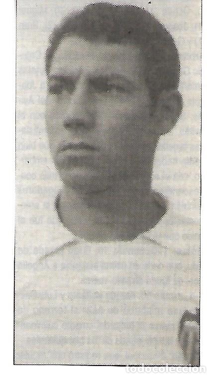 Coleccionismo deportivo: VALENCIA CF: Recorte de PANCHULO - Foto 1