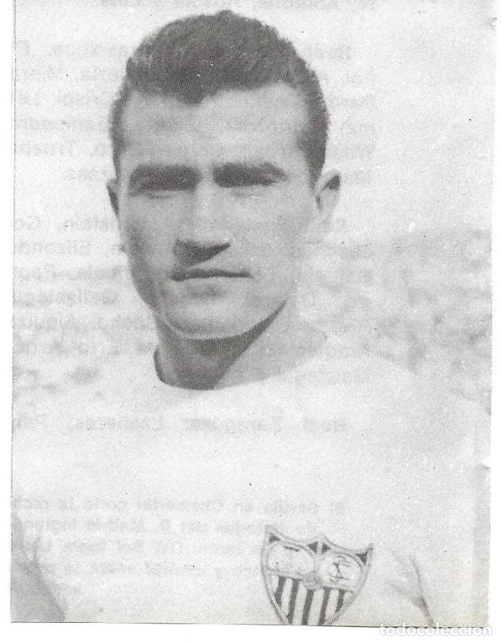 Coleccionismo deportivo: SEVILLA CF: Recorte de SZALAY - Foto 1