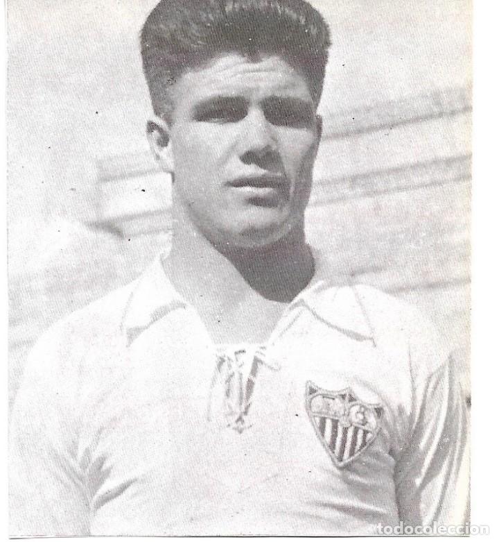 Coleccionismo deportivo: SEVILLA CF: Recorte de ACHUCARRO - Foto 1
