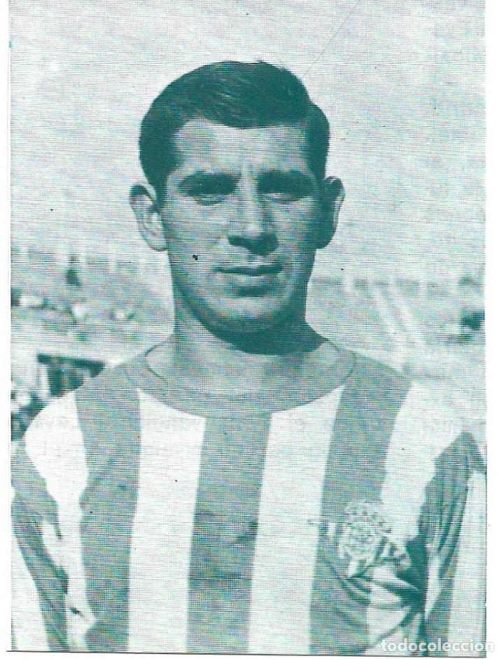 Collectionnisme sportif: REAL BETIS BALOMPI&Eacute;: Recorte de ANSOLA.