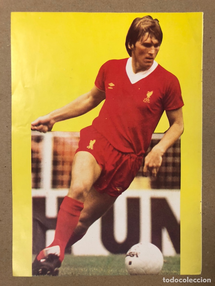 Sammelleidenschaft Sport: KENNY DALGLISH (LIVERPOOL FOOTBALL CLUB). POSTER COLECCI&Oacute;N FAMOSOS DEL F&Uacute;TBOL. BIO AL DORSO.