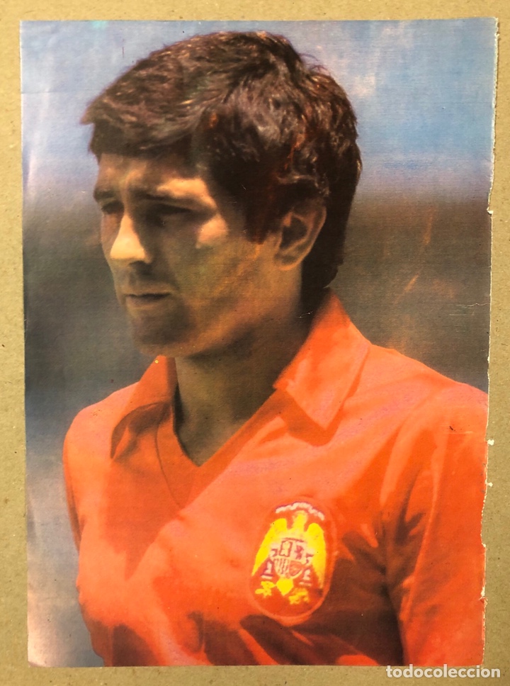 Sammelleidenschaft Sport: RAFAEL GORDILLO (SELECCI&Oacute;N ESPA&Ntilde;OL). POSTER COLECCI&Oacute;N FAMOSOS DEL F&Uacute;TBOL. BIO AL DORSO.