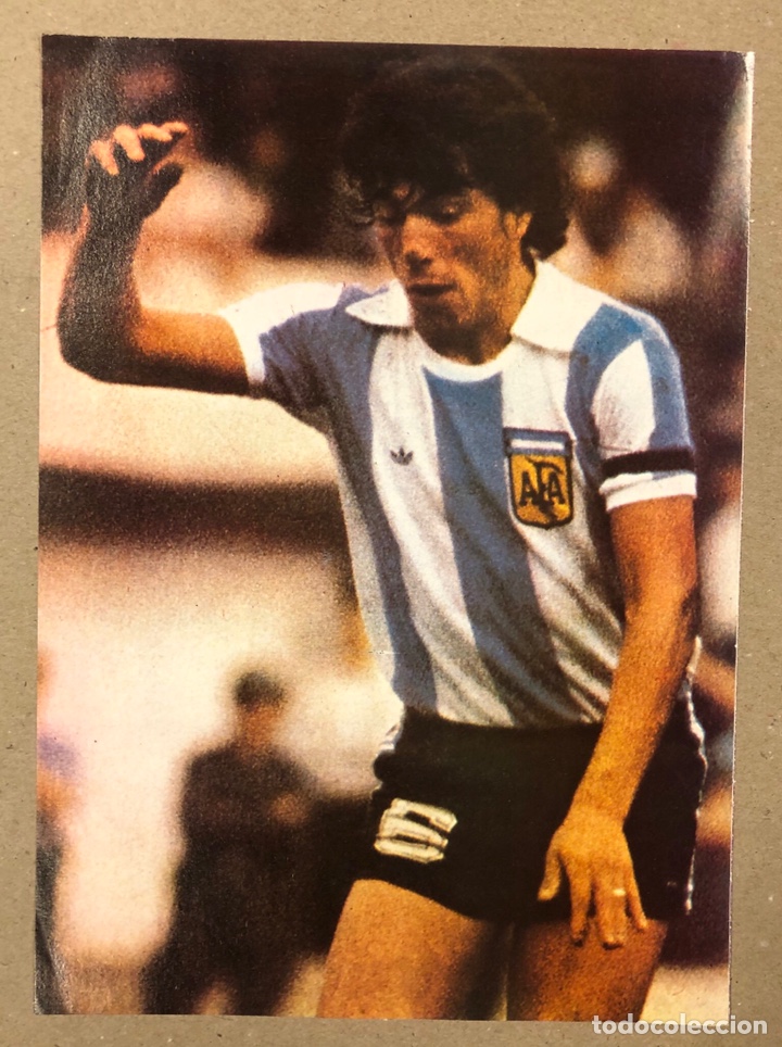 Sammelleidenschaft Sport: DANIEL ALBERTO PASARELLA (SELECCI&Oacute;N ARGENTINA). POSTER COLECCI&Oacute;N FAMOSOS DEL F&Uacute;TBOL. BIO AL DORSO