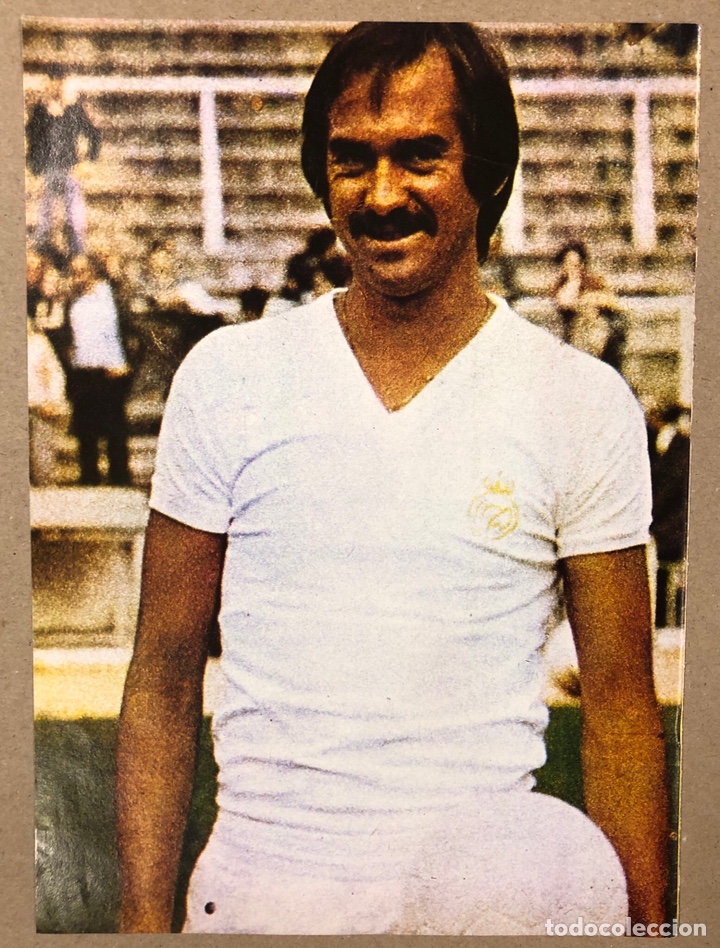 Sammelleidenschaft Sport: ULRICH STIELIKE (REAL MADRID C.F). POSTER COLECCI&Oacute;N FAMOSOS DEL F&Uacute;TBOL. BIO AL DORSO