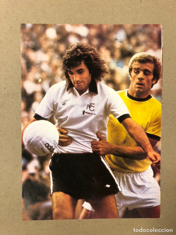 Sammelleidenschaft Sport: GEORGE BEST (FULHAM F.C.). POSTER COLECCI&Oacute;N FAMOSOS DEL F&Uacute;TBOL. BIO AL DORSO.