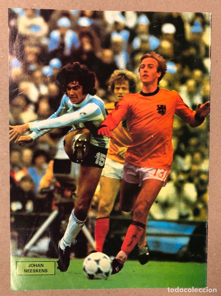 Coleccionismo deportivo: JOHAN NEESKENS (SELECCI&Oacute;N HOLANDA). POSTER COLECCI&Oacute;N FAMOSOS DEL F&Uacute;TBOL. BIO AL DORSO.