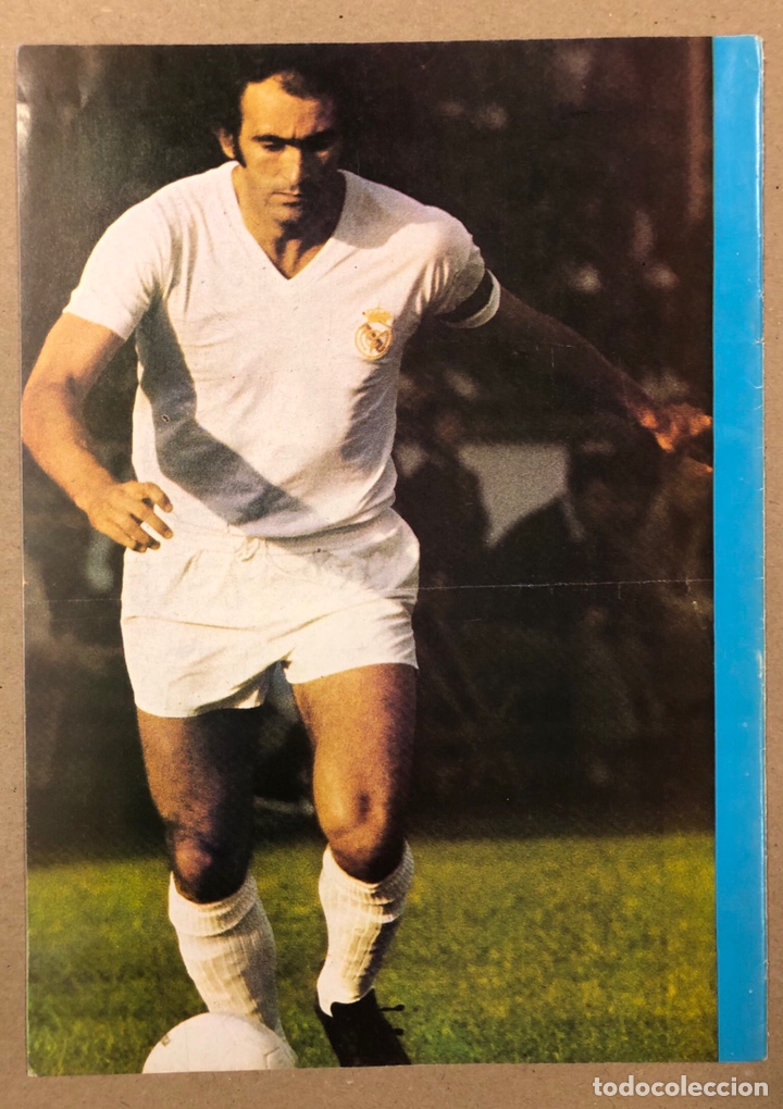Collectionnisme sportif: JOS&Eacute; MAR&Iacute;A S&Aacute;NCHEZ &ldquo;PIRRI&rdquo; (REAL MADRID C.F.). POSTER COLECCI&Oacute;N FAMOSOS DEL F&Uacute;TBOL. BIO AL DORSO.