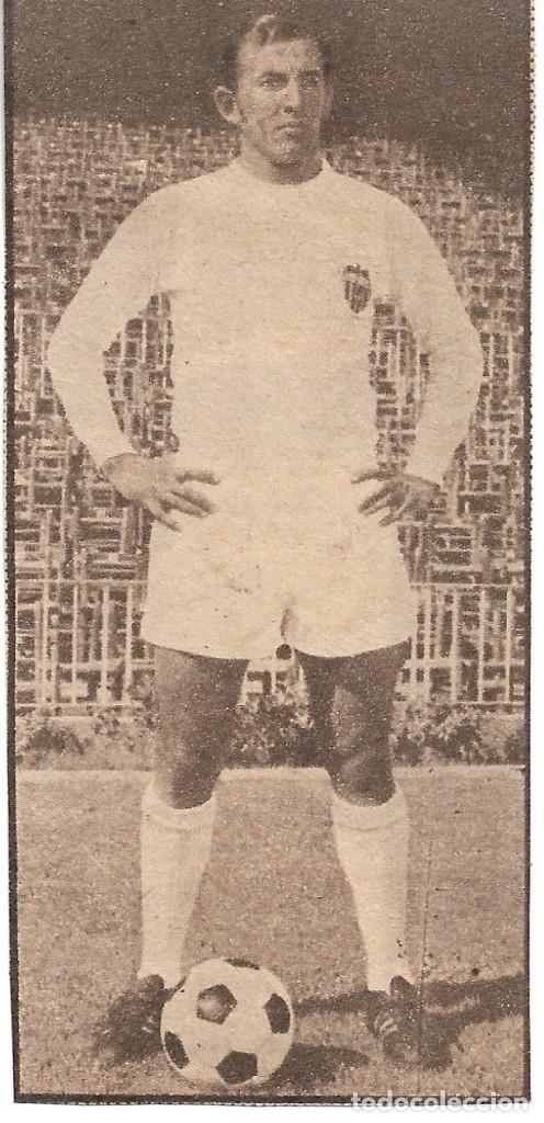 Coleccionismo deportivo: VALENCIA CF: Recorte de AN&Iacute;BAL. - Foto 1