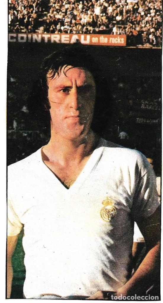 Sammelleidenschaft Sport: REAL MADRID: Recorte de DEL BOSQUE. 1974