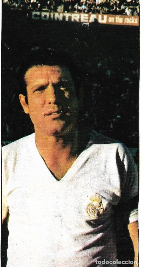 Sammelleidenschaft Sport: REAL MADRID: Recorte de GROSSO. 1974