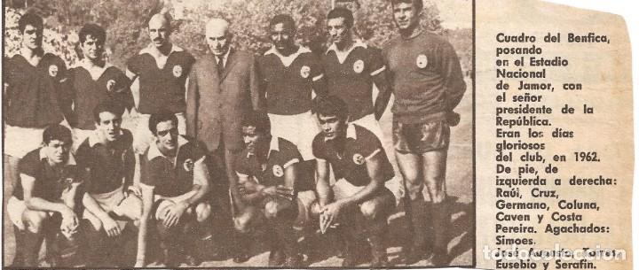 Collezionismo sportivo: BENFICA: Recorte de un equipo de 1962