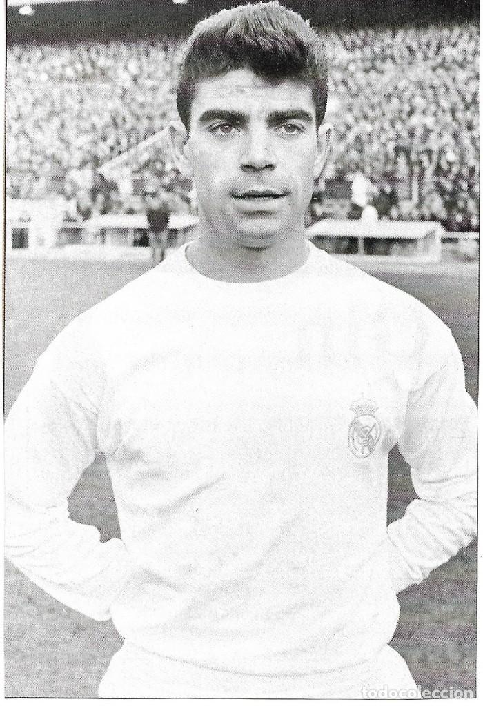 Coleccionismo deportivo: REAL MADRID: Recorte de SANCH&Iacute;S padre.