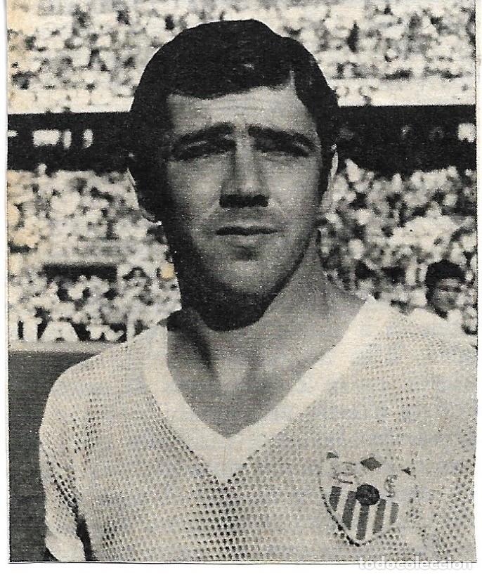 Coleccionismo deportivo: SEVILLA CF: Recorte del malogrado Pedro BERRUEZO. 1973