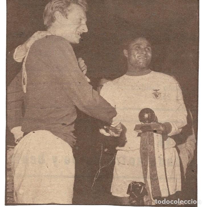 Coleccionismo deportivo: Recorte de DENIS LAW ( Manchester United ) y EUSEBIO ( Benfica ) con el Bal&oacute;n de Oro