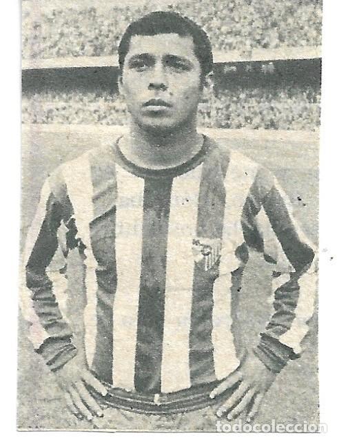 Coleccionismo deportivo: CD.M&Aacute;LAGA: Peque&ntilde;o recorte de FLEITAS. 1968