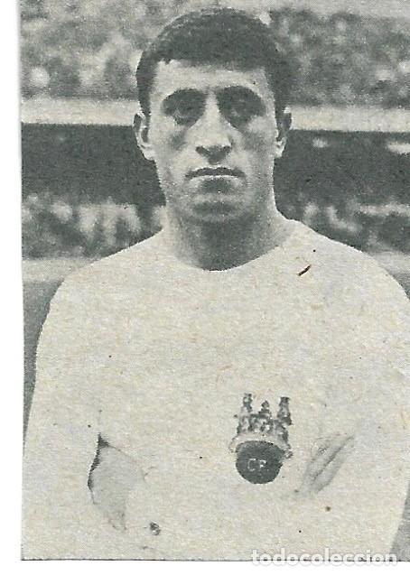 Coleccionismo deportivo: PONTEVEDRA CF: Peque&ntilde;o recorte de NEME