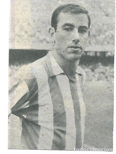 Coleccionismo deportivo: ATL&Eacute;TICO DE MADRID: Recorte de ADELARDO. 1968