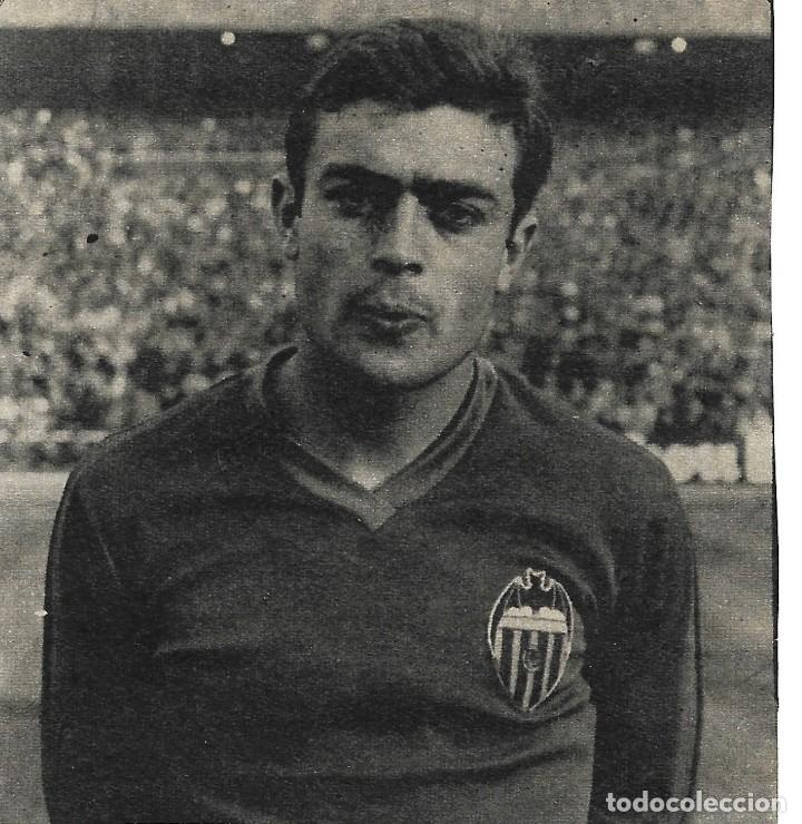 Coleccionismo deportivo: VALENCIA CF: Recorte de PLANELLES. 1975-76 - Foto 1