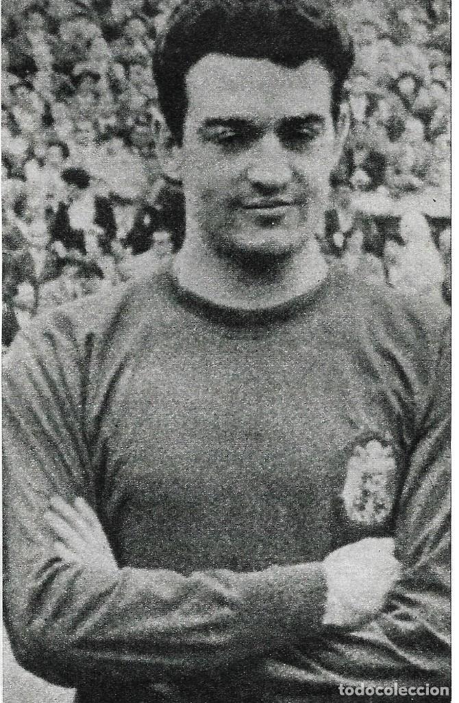 Sammelleidenschaft Sport: SELECCI&Oacute;N ESPA&Ntilde;OLA DE F&Uacute;TBOL: Recorte de Mart&iacute; VERG&Eacute;S