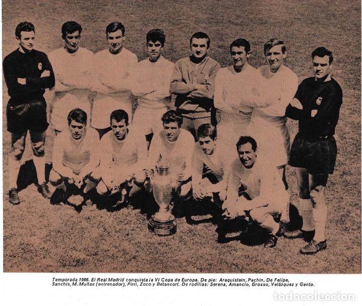Collezionismo sportivo: REAL MADRID: Recorte del equipo Campe&oacute;n de Europa en 1966