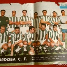 Coleccionismo deportivo: CORDOBA C.F. (1964) POSTER TELE EXPRES 33,50X24 CM - 1ª DIVISION LIGA FUTBOL - GENTILEZA PHILCO