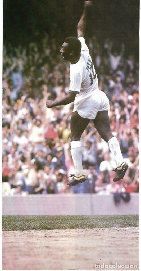 Sammelleidenschaft Sport: SANTOS ( BRASIL ): Gran recorte de PEL&Eacute;.