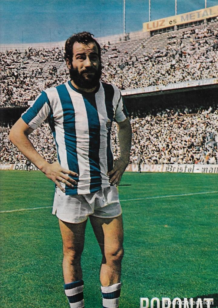 Collezionismo sportivo: REAL SOCIEDAD: P&oacute;ster de BORONAT. 1975