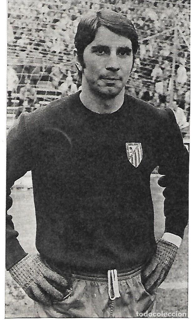 Coleccionismo deportivo: ATL&Eacute;TICO DE MADRID: Recorte de PACHECO. 1974