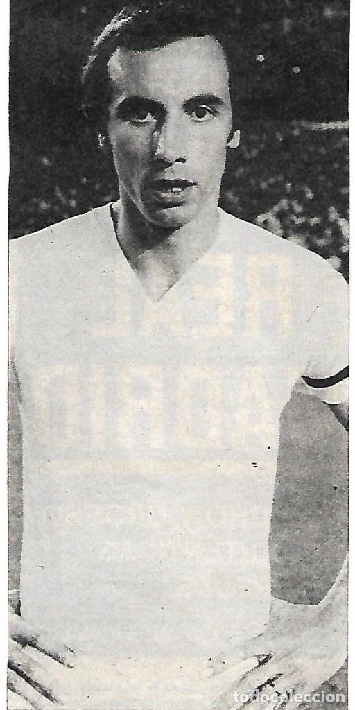 Coleccionismo deportivo: REAL MADRID: Recorte de ROBERTO MART&Iacute;NEZ. 1975