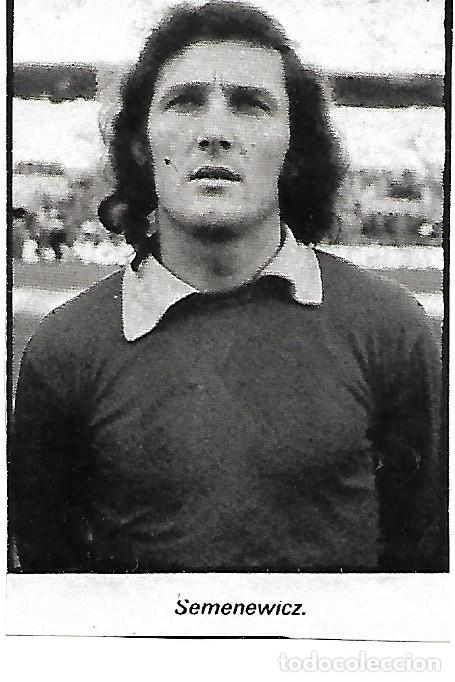 Coleccionismo deportivo: INDEPENDIENTE DE AVELLANEDA ( ARGENTINA ): Recorte de SEMENEWICZ. 1975