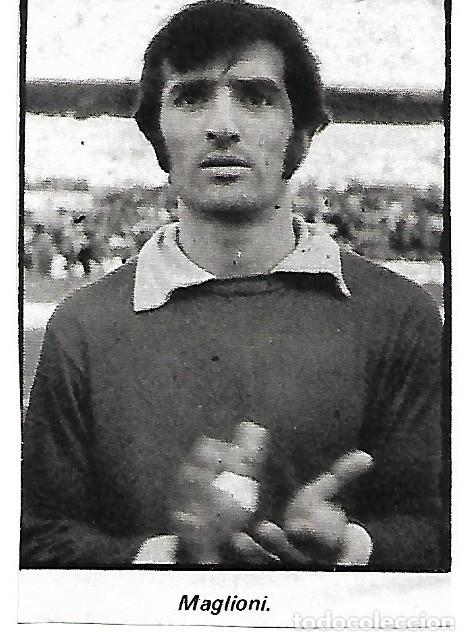 Coleccionismo deportivo: INDEPENDIENTE DE AVELLANEDA ( ARGENTINA ): Recorte de MAGLIONI. 1975