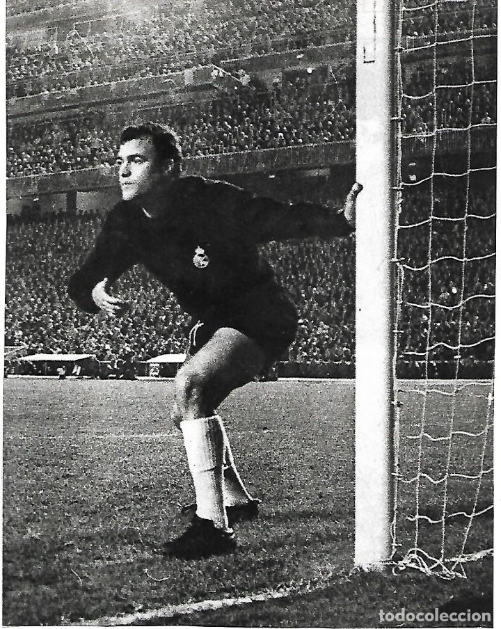 Coleccionismo deportivo: REAL MADRID: Gran recorte de BETANCORT.