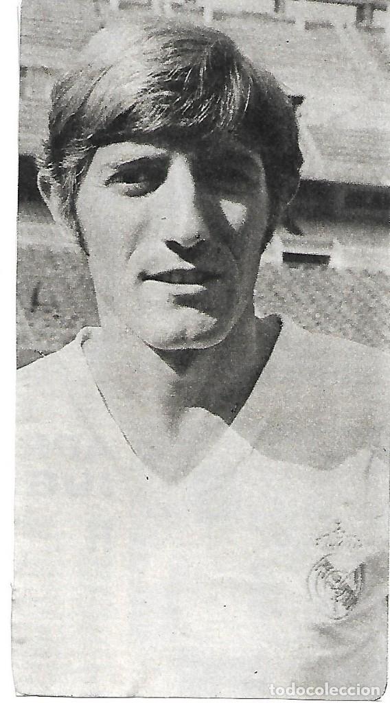 Coleccionismo deportivo: REAL MADRID: Gran recorte de VERDUGO. 1974