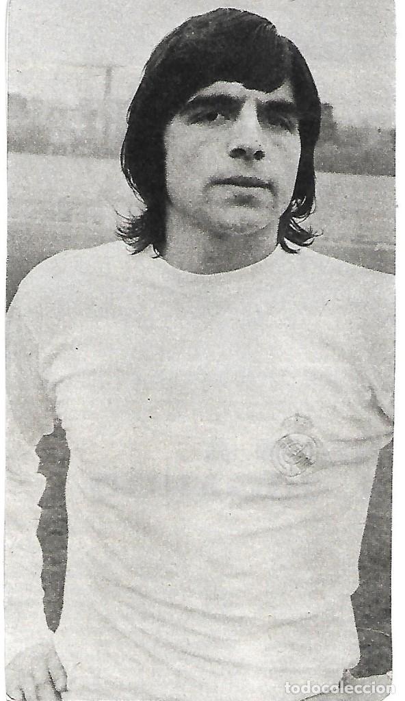 Coleccionismo deportivo: REAL MADRID: Gran recorte de MORGADO. 1975